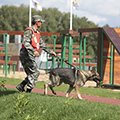 Награждение победителей первого кинологического конкурса служебного собаководства «Верный друг» (г. Дмитров, Московская обл.)