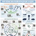 Вооруженные Силы РФ за неделю